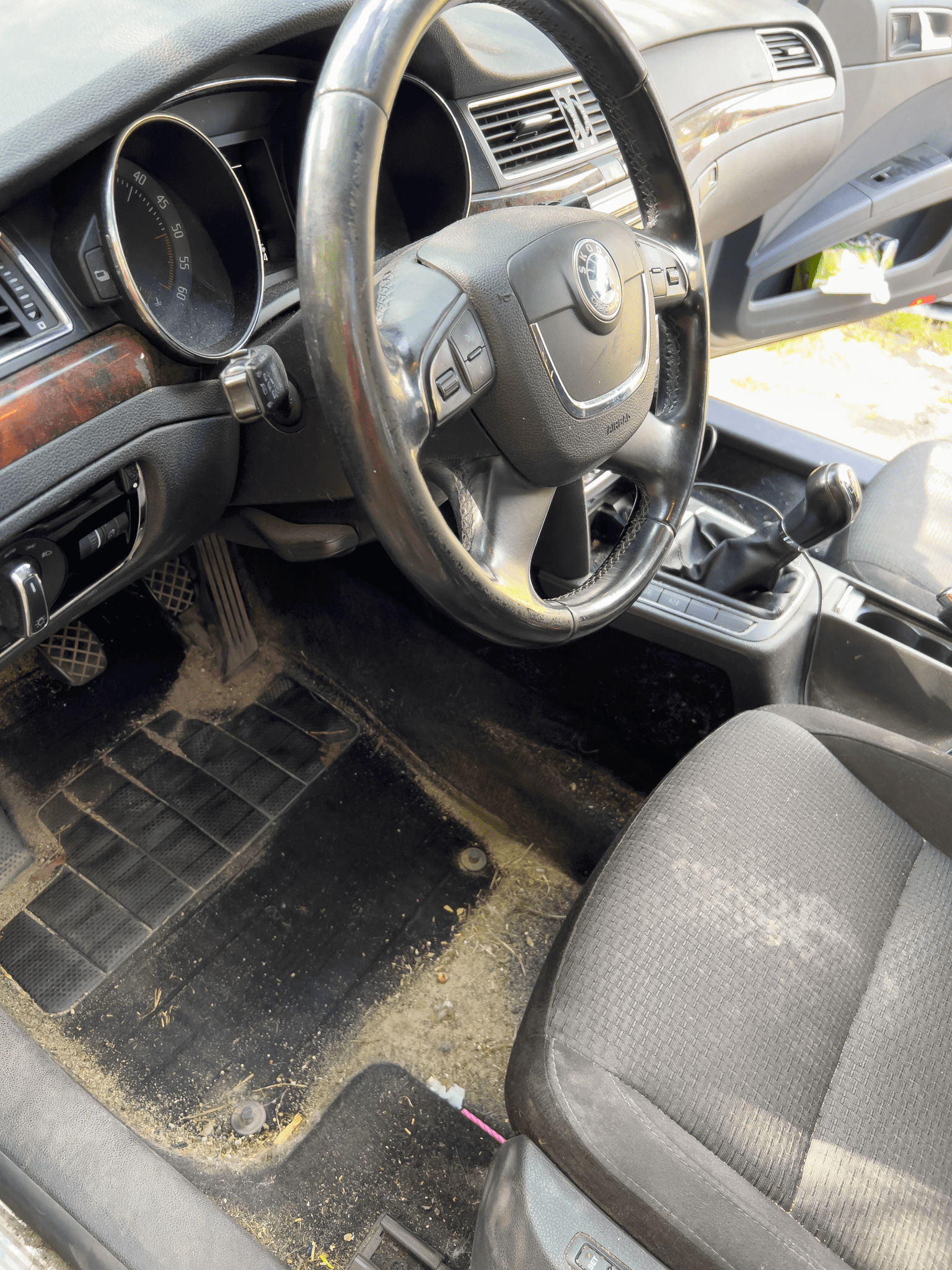 kompleksowe czyszczenie wnętrza i usuwanie sierści (7)