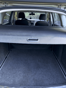 kompleksowe czyszczenie wnętrza i usuwanie sierści (1)