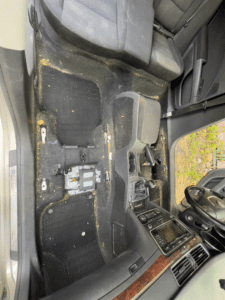 kompleksowe czyszczenie wnętrza i usuwanie sierści (10)