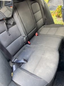 kompleksowe czyszczenie wnętrza i usuwanie sierści (4)