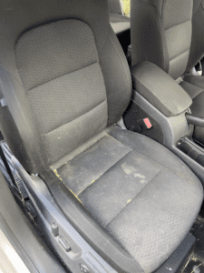 kompleksowe czyszczenie wnętrza i usuwanie sierści (5)