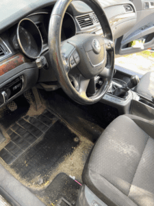 kompleksowe czyszczenie wnętrza i usuwanie sierści (7)