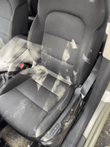 kompleksowe czyszczenie wnętrza i usuwanie sierści (8)